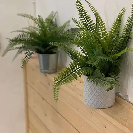 Delizioso Con Soppalco *