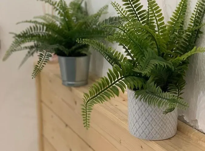 Delizioso Con Soppalco *